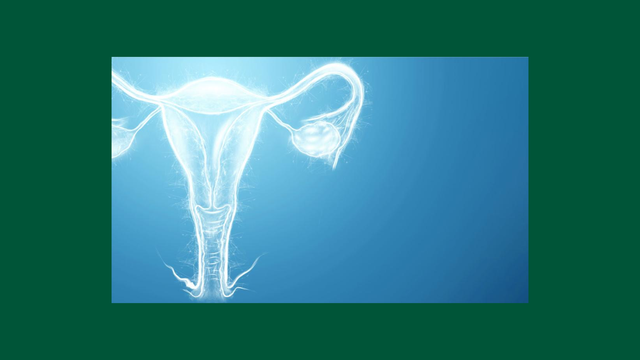 Einladung zum digitalen Fachgespräch Frauengesundheit