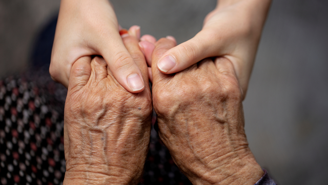 Zu Besuch im Gebrüder-Schmid-Zentrum Heslach